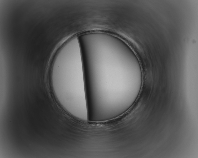 X0000098051317200803280722