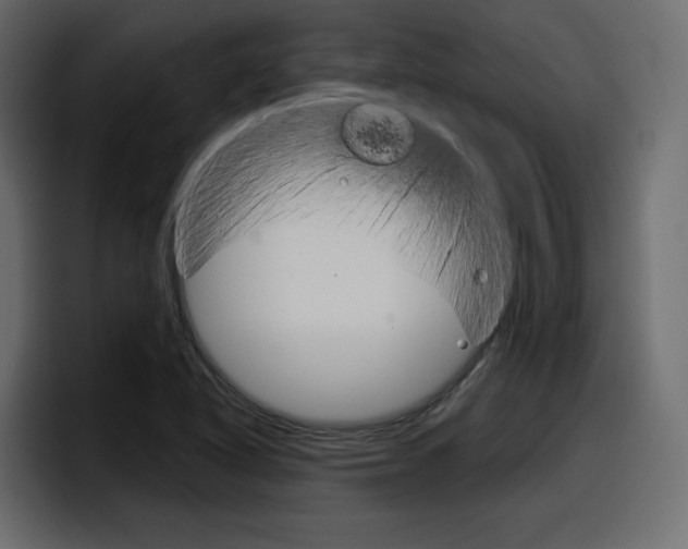 X0000098051318200803280722