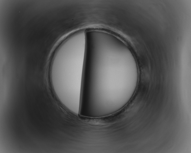 X0000098051319200803280722