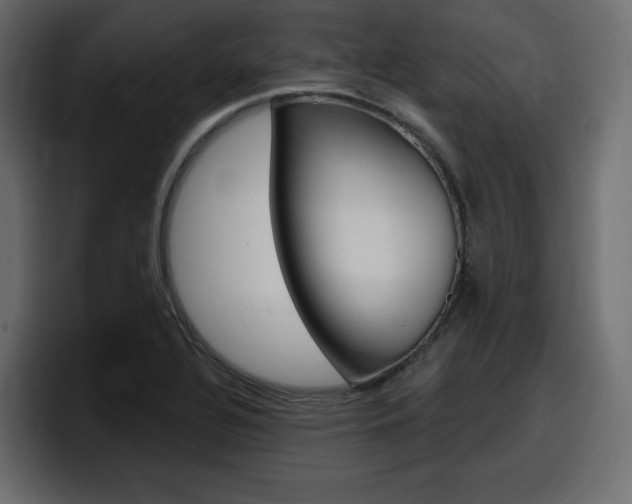 X0000098051320200803280722