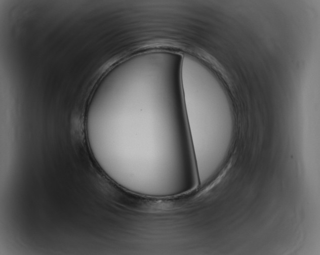 X0000098051321200803280722