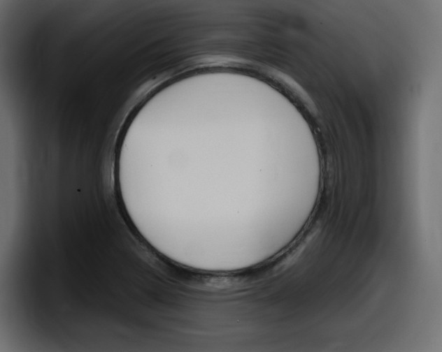X0000098051322200803280722