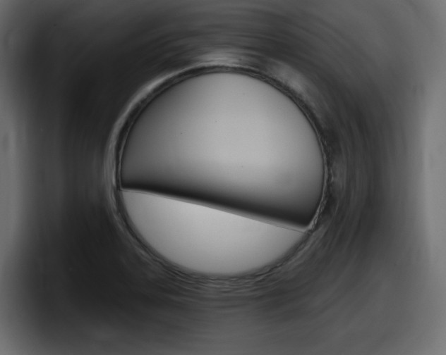 X0000098051323200803280722