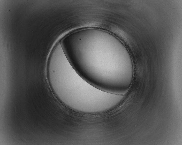 X0000098051324200803280722