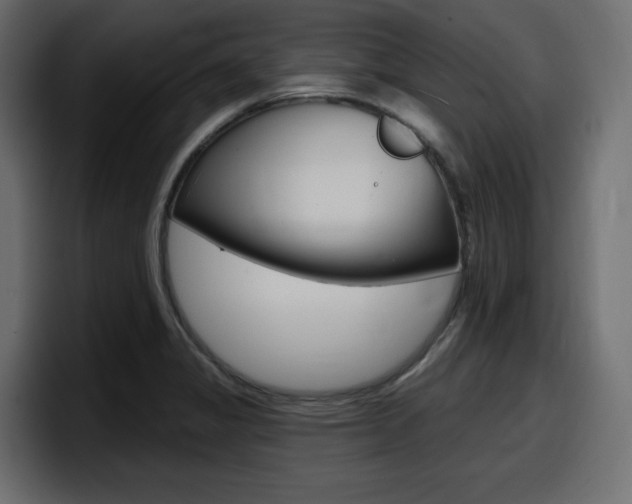 X0000098051325200803280722