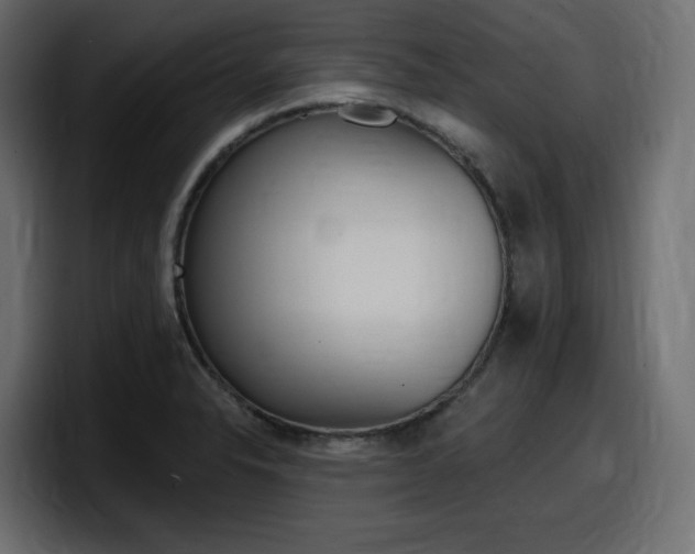 X0000098051326200803280722
