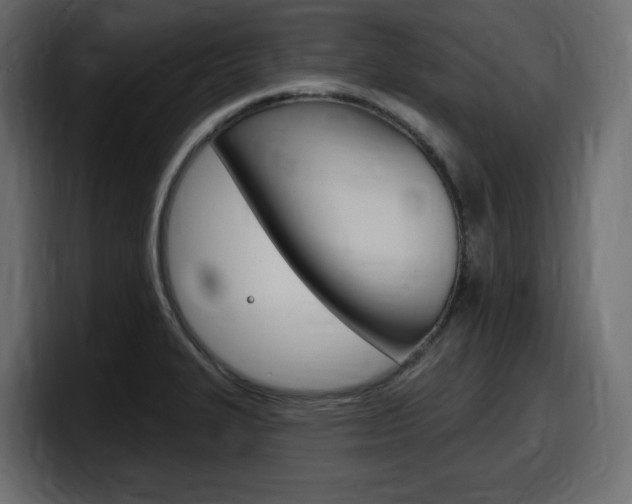 X0000098051327200803280722