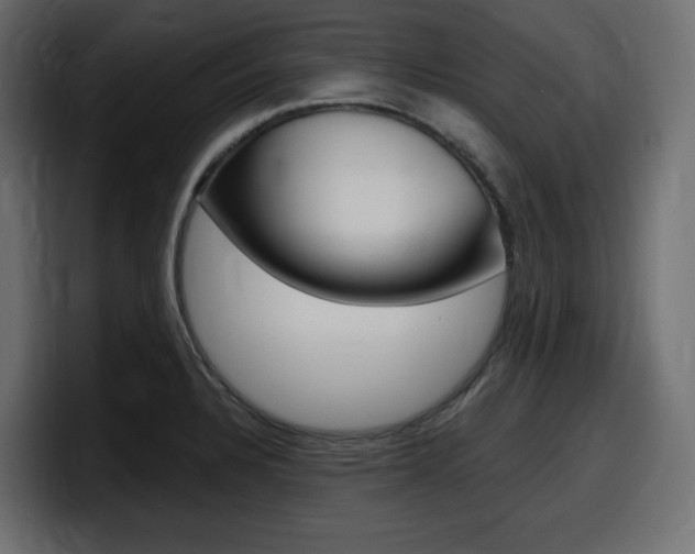 X0000098051328200803280722