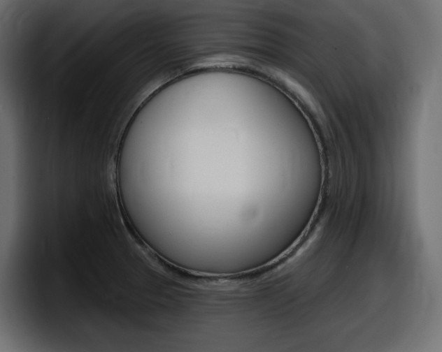 X0000098051329200803280722