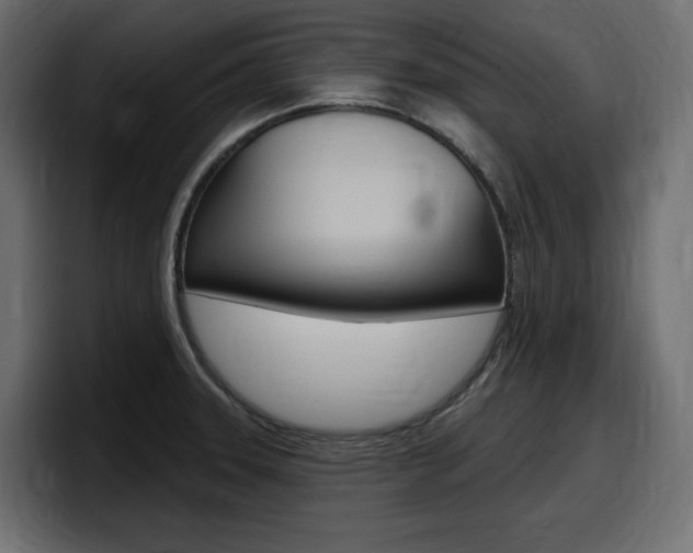 X0000098051331200803280722