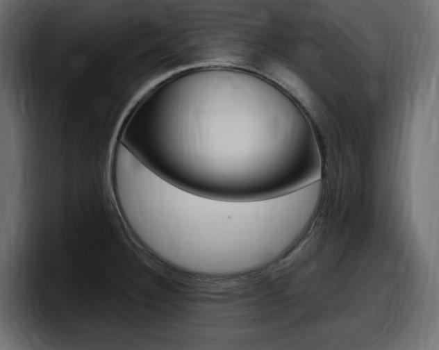 X0000098051332200803280722