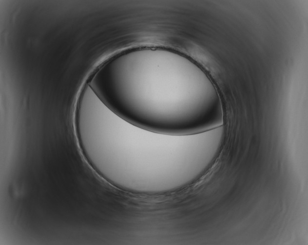 X0000098051334200803280722