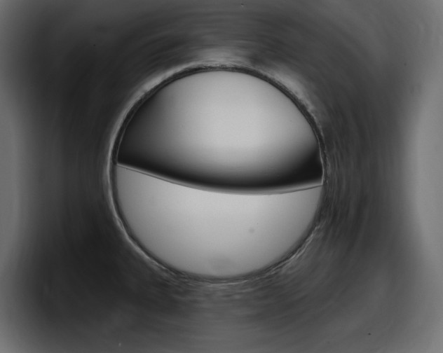 X0000098051335200803280722