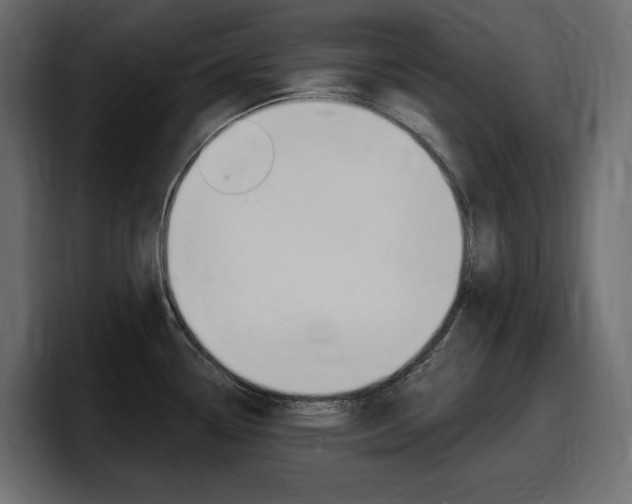 X0000098051338200803280722