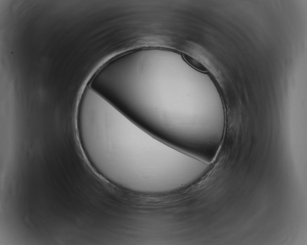 X0000098051339200803280722