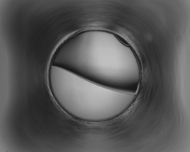 X0000098051341200803280722