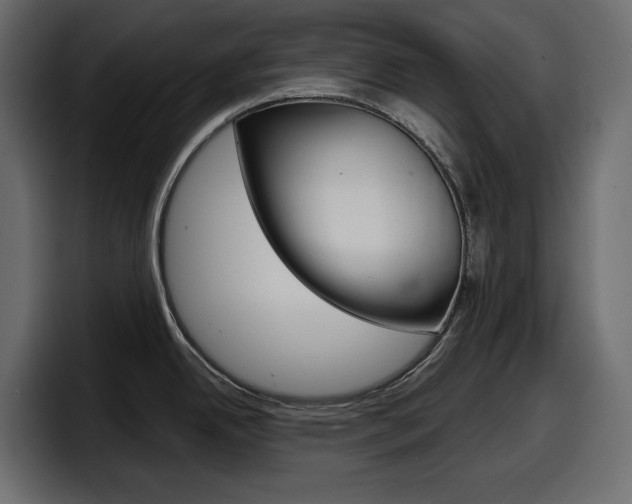 X0000098051342200803280722