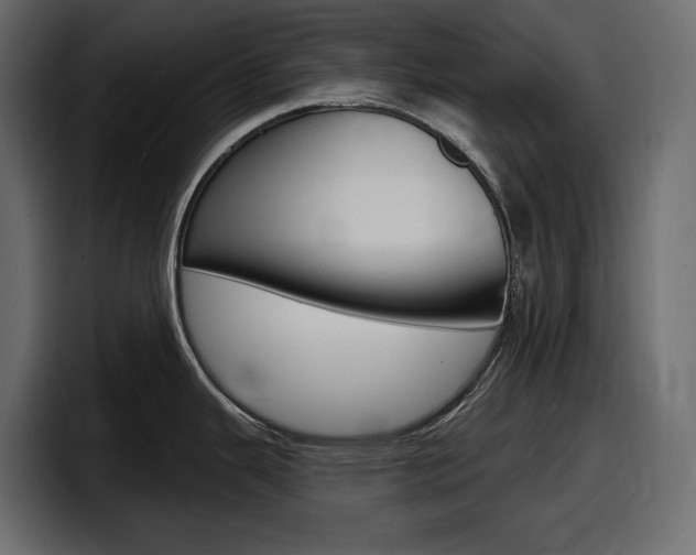 X0000098051343200803280722