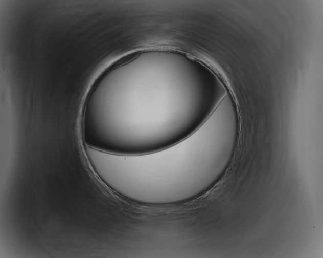 X0000098051344200803280722