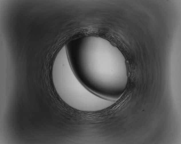 X0000098051345200803280722