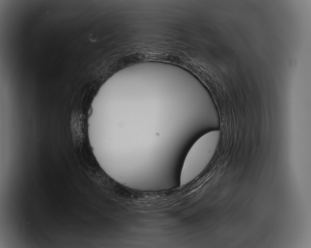 X0000098051346200803280722