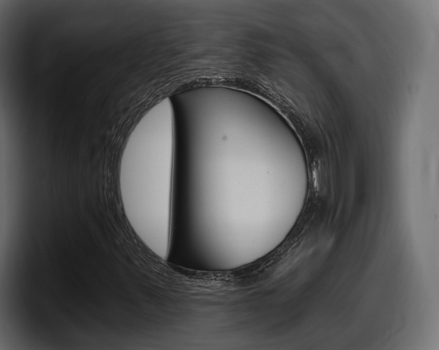 X0000098051347200803280722