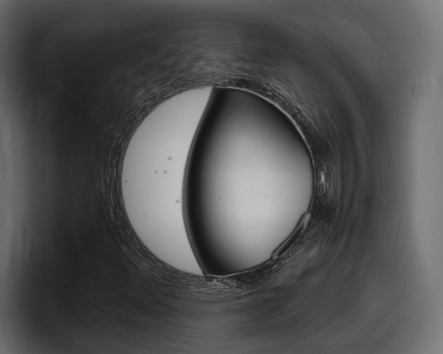 X0000098051348200803280722