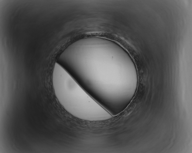 X0000098051351200803280722
