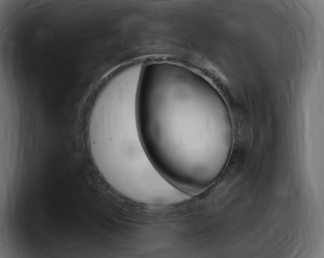X0000098051352200803280722