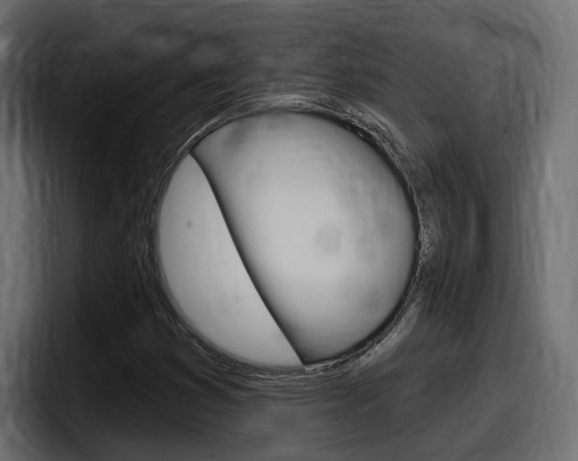 X0000098051353200803280722
