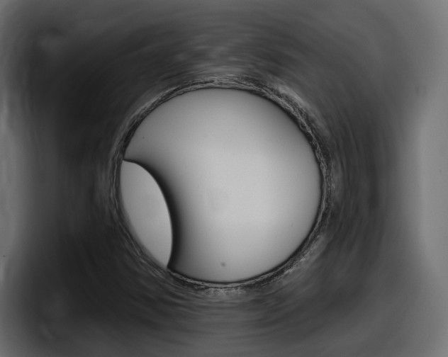 X0000098051354200803280722