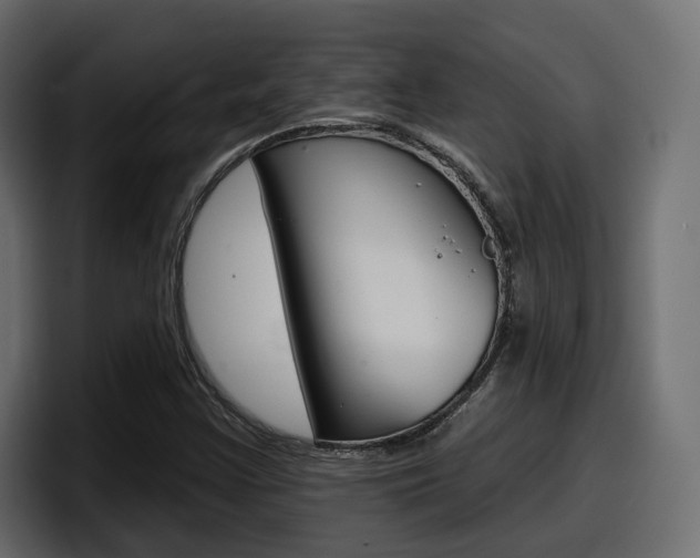 X0000098051355200803280722