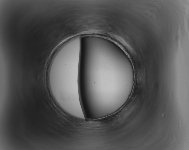 X0000098051356200803280722