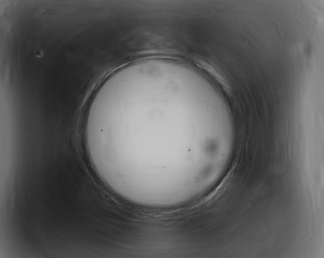X0000098051357200803280722