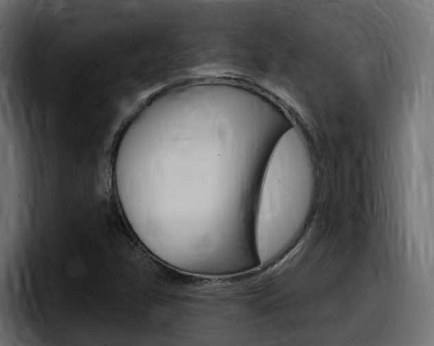 X0000098051358200803280722