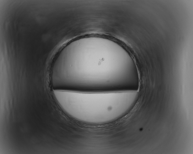 X0000098051359200803280722
