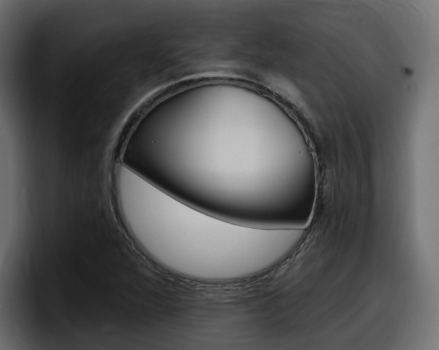 X0000098051360200803280722