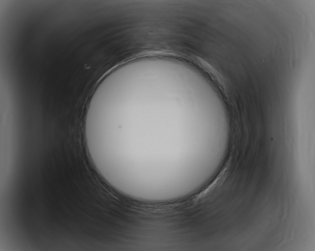 X0000098051361200803280722