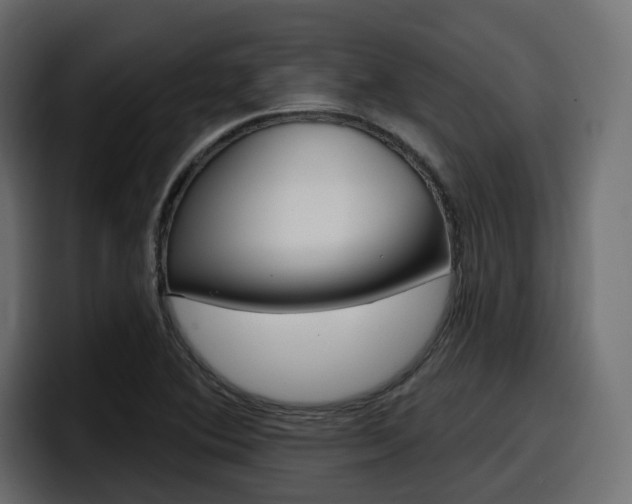 X0000098051364200803280722