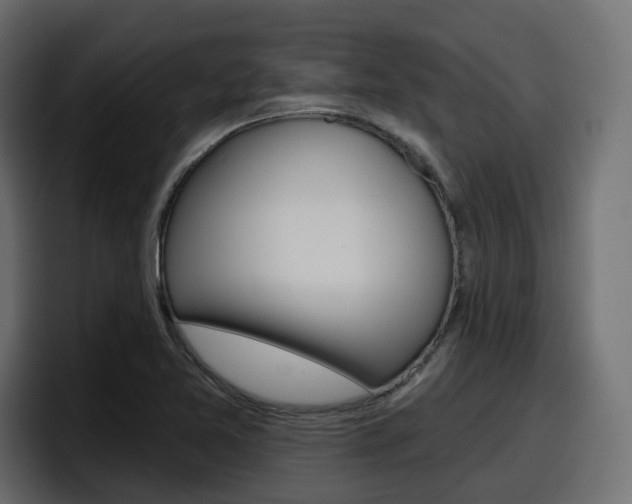 X0000098051365200803280722