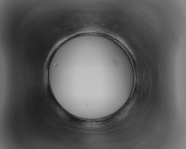 X0000098051366200803280722