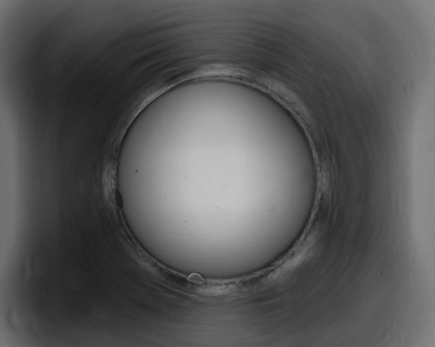X0000098051369200803280722
