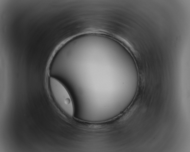 X0000098051371200803280722