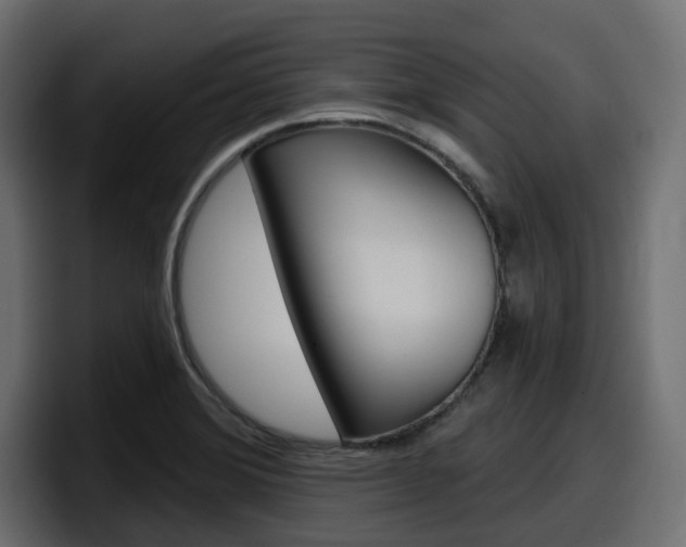 X0000098051372200803280722
