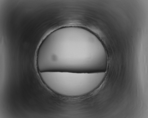 X0000098051374200803280721