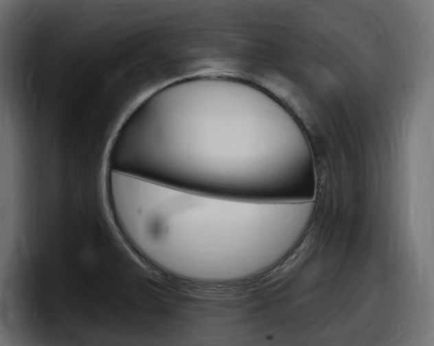 X0000098051375200803280721