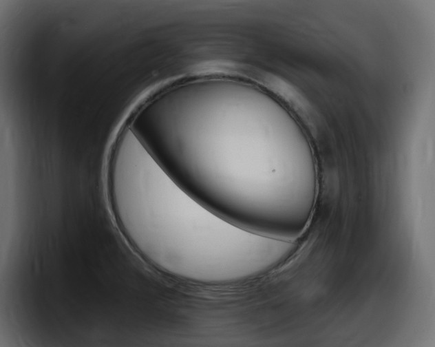 X0000098051376200803280721