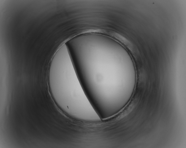 X0000098051377200803280721