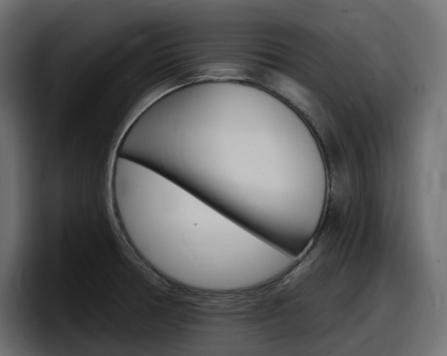 X0000098051378200803280721