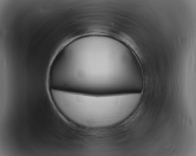 X0000098051379200803280721